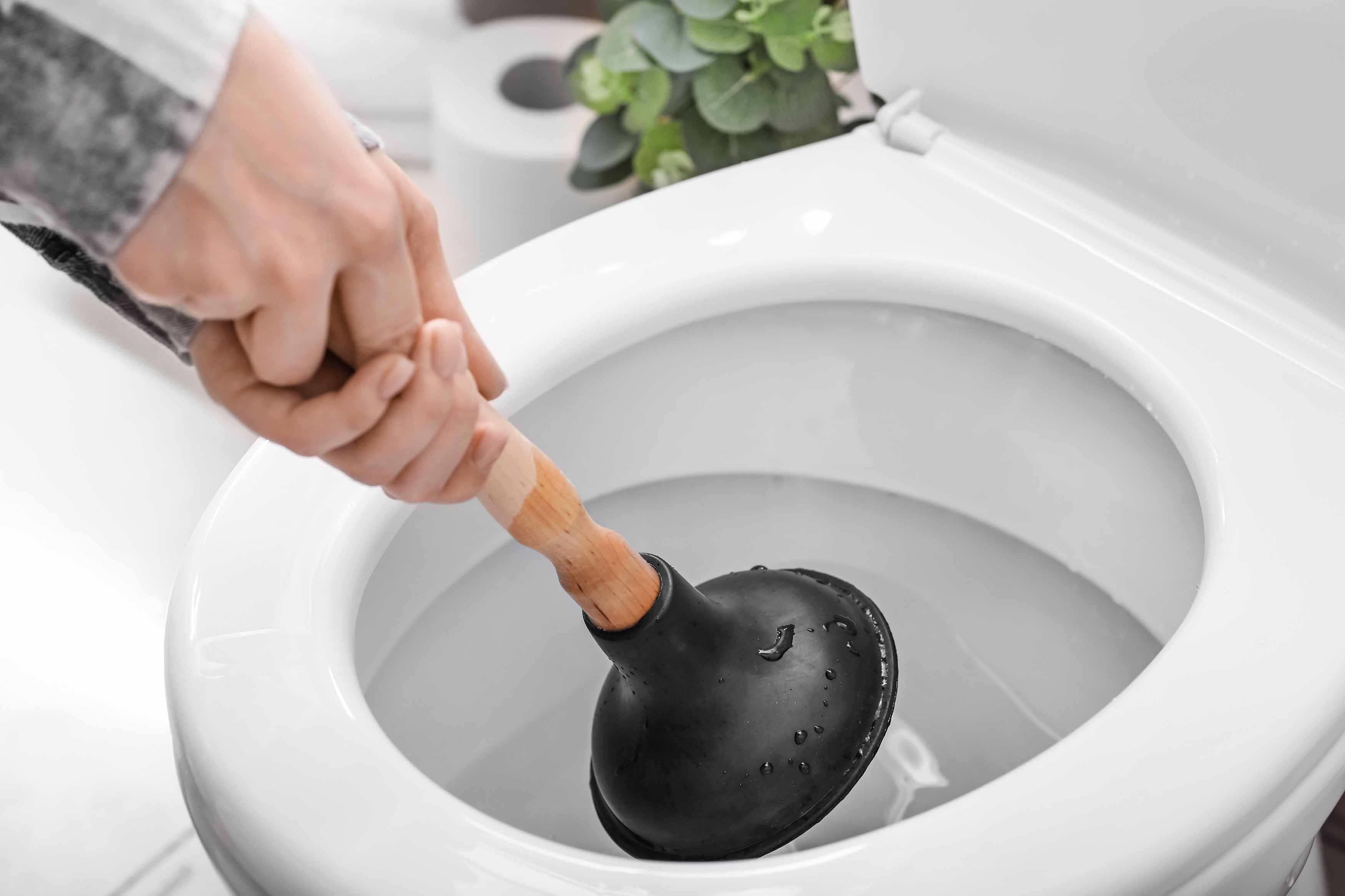 My Toilet is Clogged! What Should I Do? Ask a Plumber - Plumbing