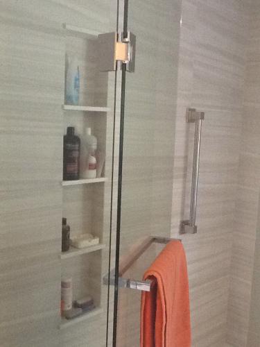 Sekharan-shower-niche1